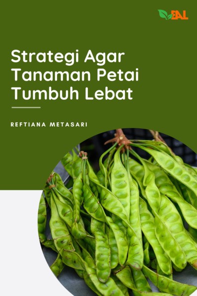 Strategi Agar Tanaman Petai Tumbuh Lebat